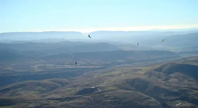 Mobile home i Isábena