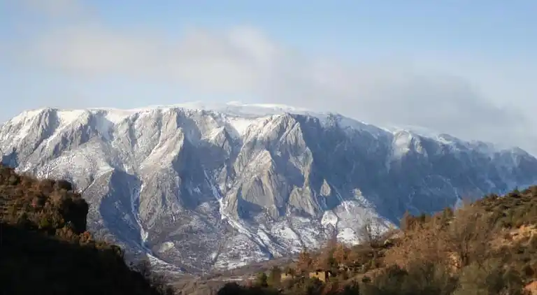 Bungalow in Isábena