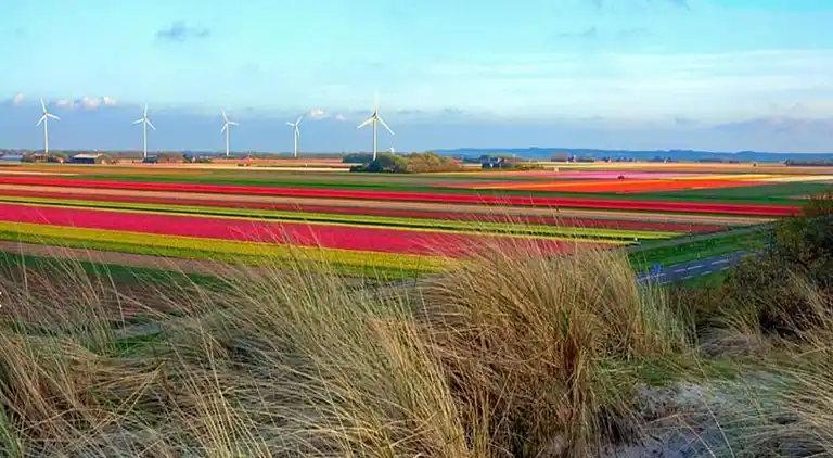 Bungalow in Isábena