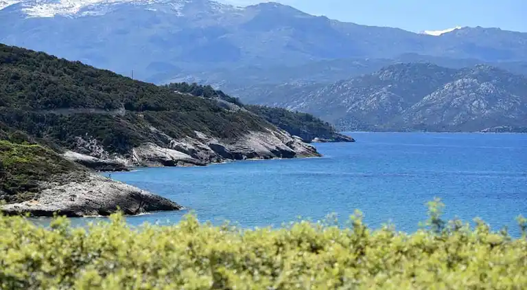 Bungalow in Lit-et-Mixe