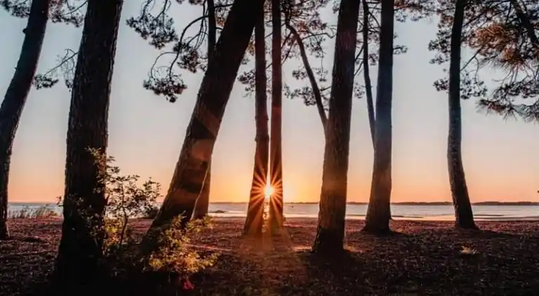 Ferielejlighed i Messanges