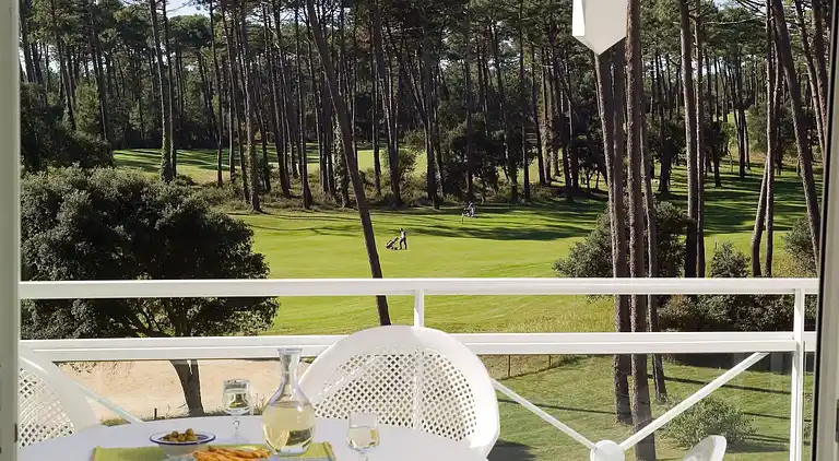 Apartment in Messanges