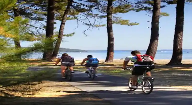 Ferielejlighed i Messanges