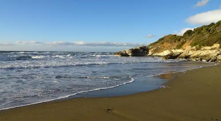 Bungalow in Lit-et-Mixe