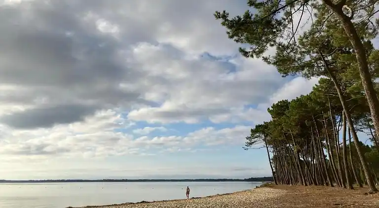 Apartment in Messanges