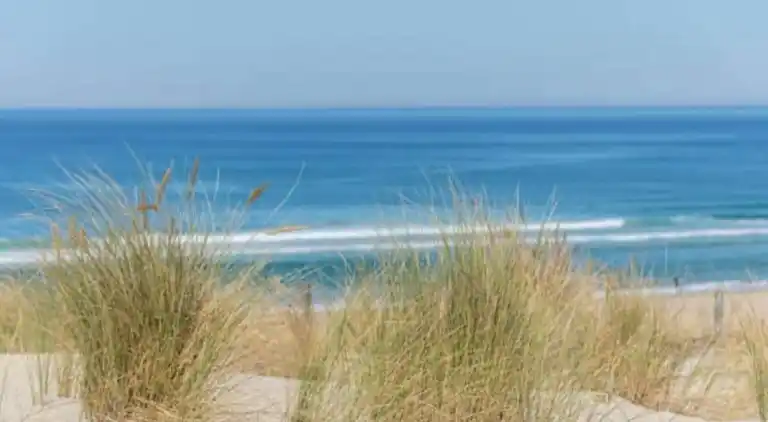 Apartment in Messanges