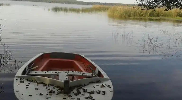 Ferielejlighed i Saint-Paul-en-Born