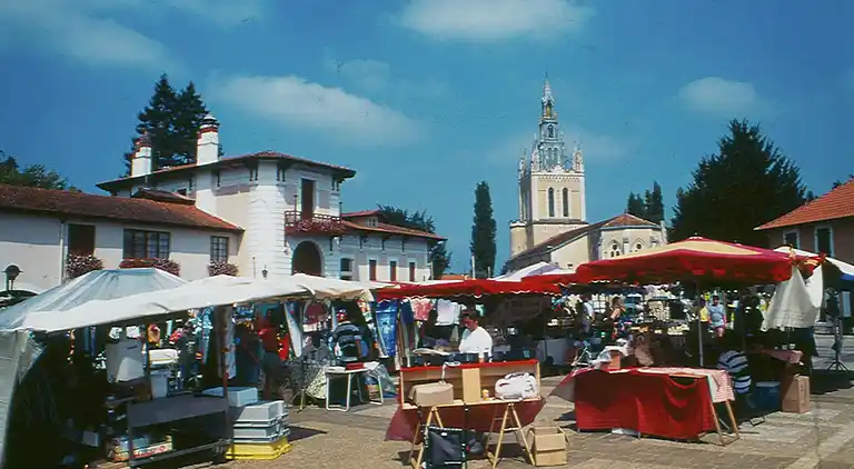 Bungalow in Lit-et-Mixe