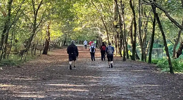 Apartment in Messanges