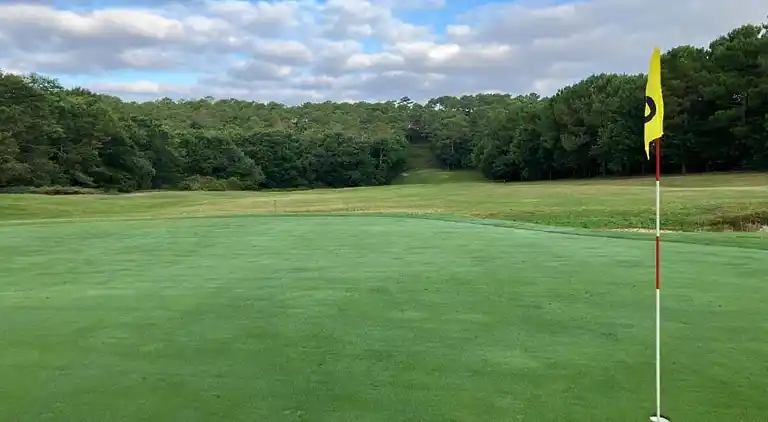 Apartment in Messanges
