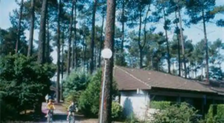 Bungalow in Lit-et-Mixe