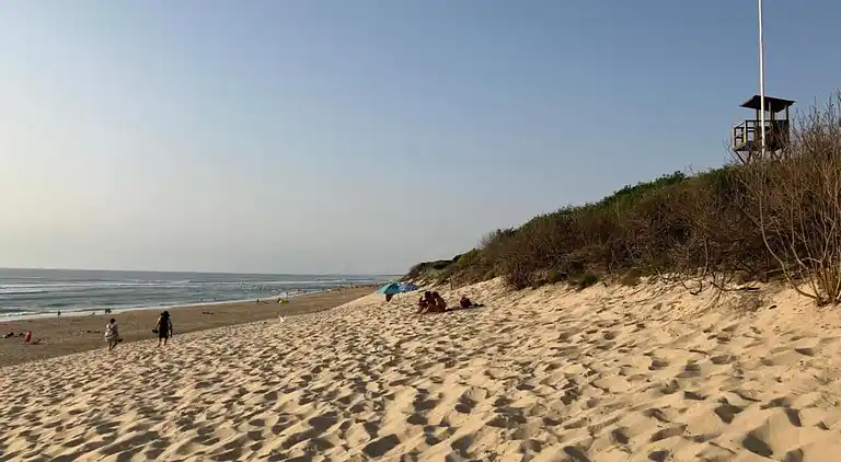 Apartment in Messanges