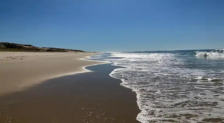 Apartment in Messanges