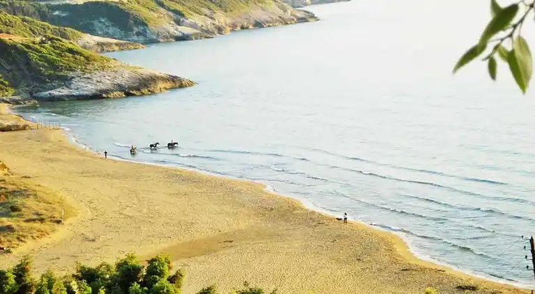 Bungalow in Lit-et-Mixe