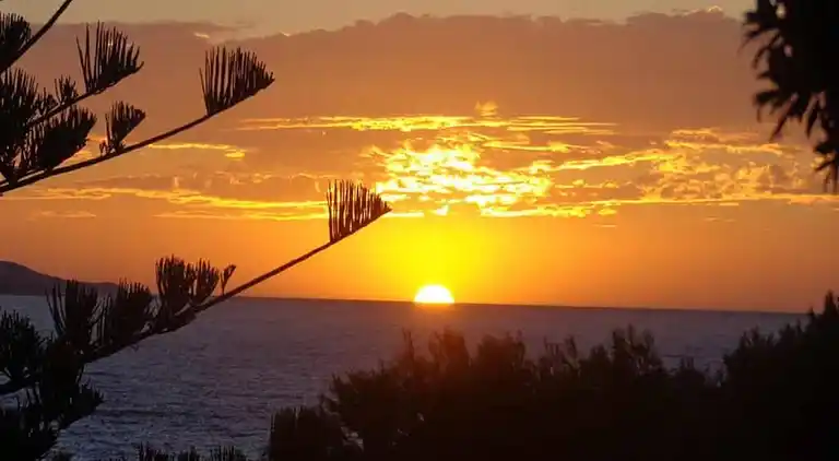 Bungalow in Lit-et-Mixe