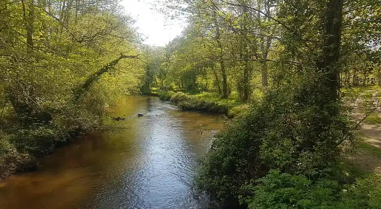 Ferielejlighed i Saint-Paul-en-Born