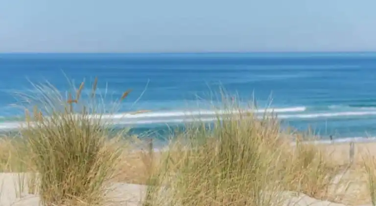 Ferielejlighed i Messanges