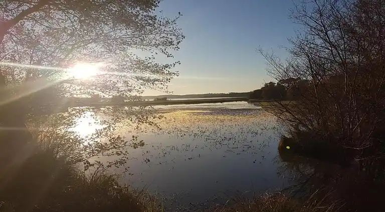 Ferielejlighed i Saint-Paul-en-Born