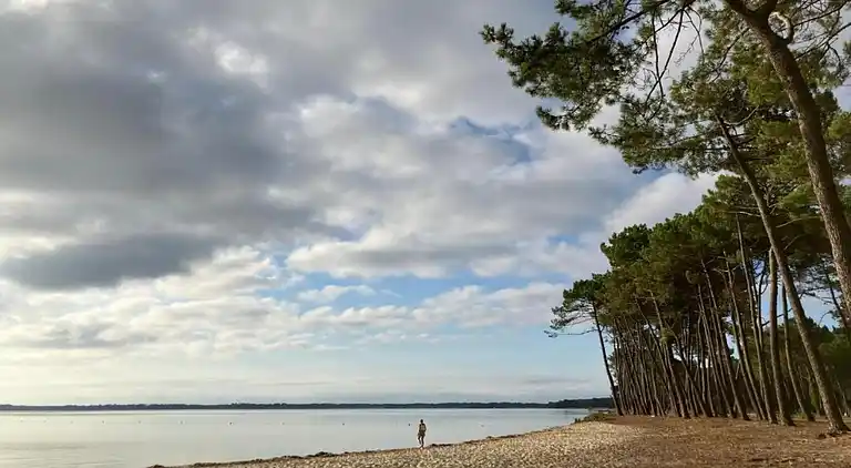 Apartment in Messanges