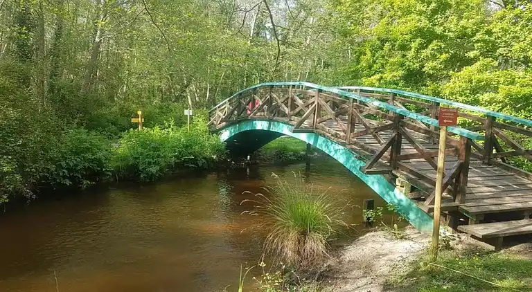 Ferielejlighed i Saint-Paul-en-Born