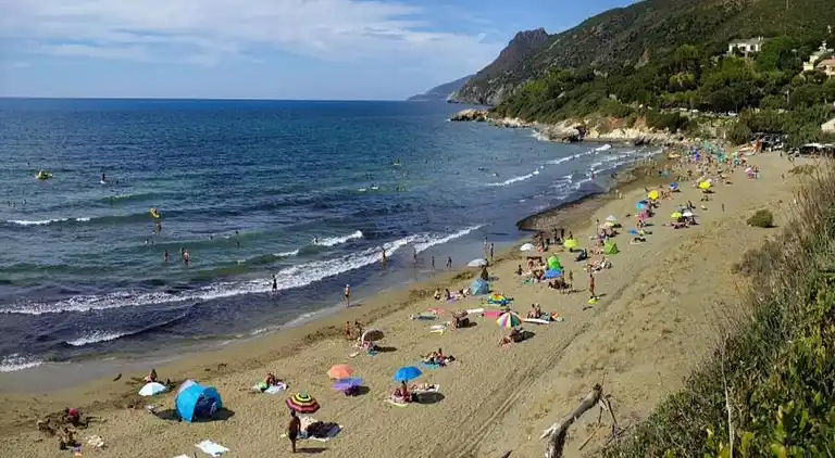 Bungalow in Lit-et-Mixe