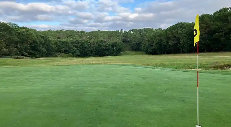 Apartment in Messanges