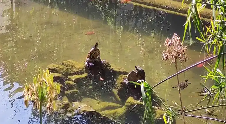 Landhaus in Baia Domizia