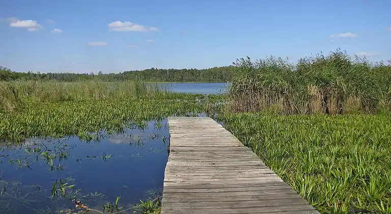 Sommerhus i Giżycko