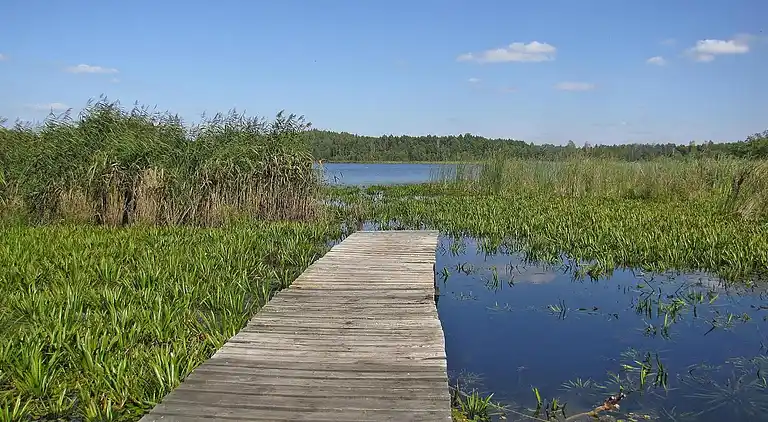 Sommerhus i Giżycko