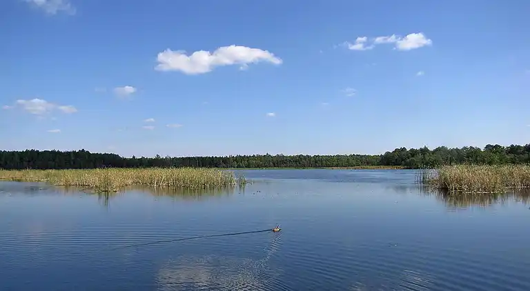 Sommerhus i Giżycko