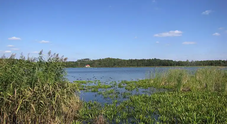 Sommerhus i Giżycko