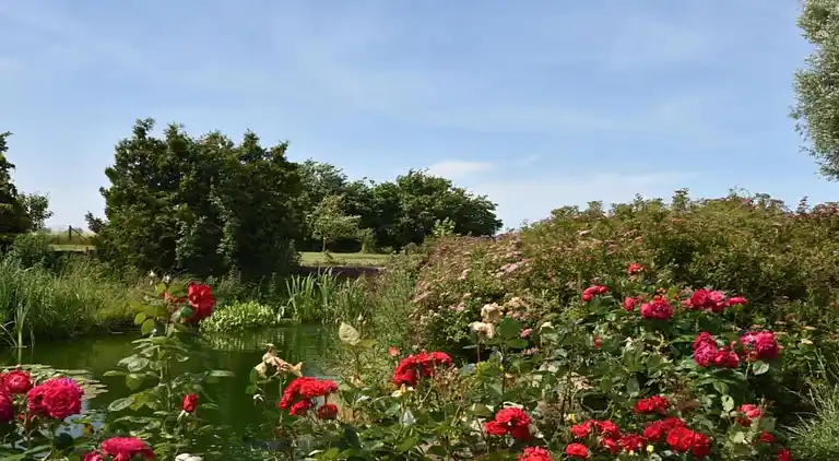 Farm house in Brusow