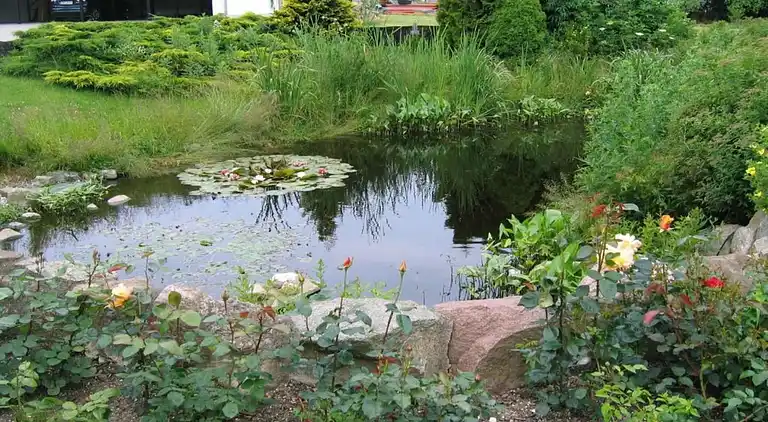 Farm house in Brusow
