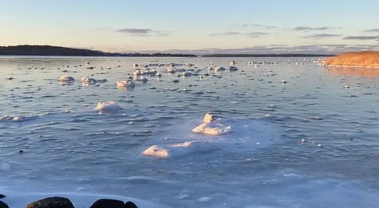 Et lille charmerende “rigtigt” sommerhus på Orø
