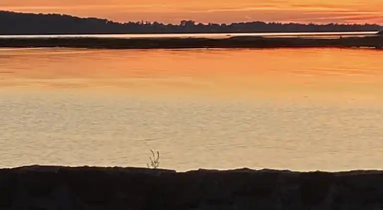 Et lille charmerende “rigtigt” sommerhus på Orø