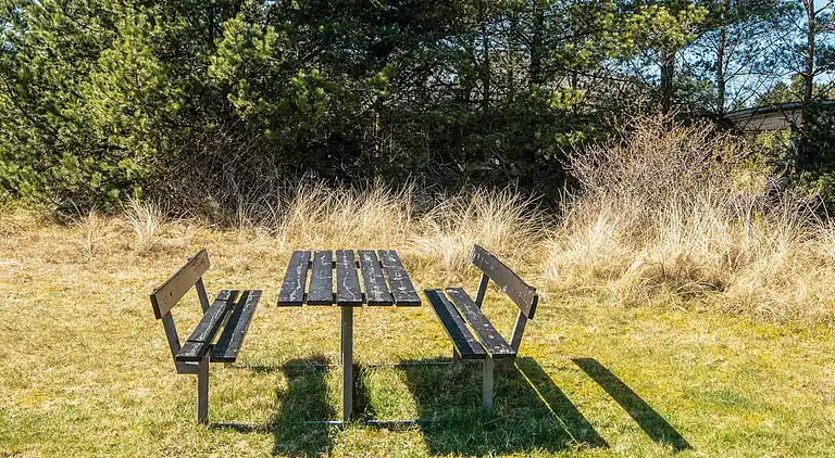 Sommerhus i Blåvand