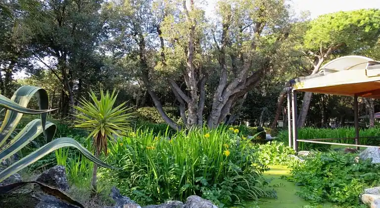 Hytte i Baia Domizia