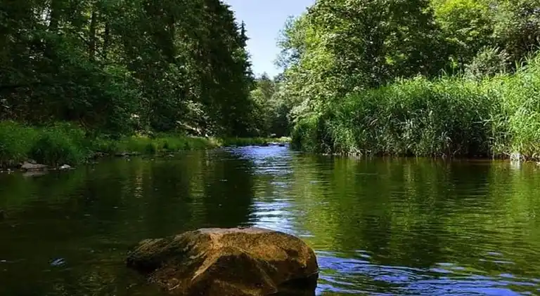 Sommerhus i Rechenberg-Bienenmühle