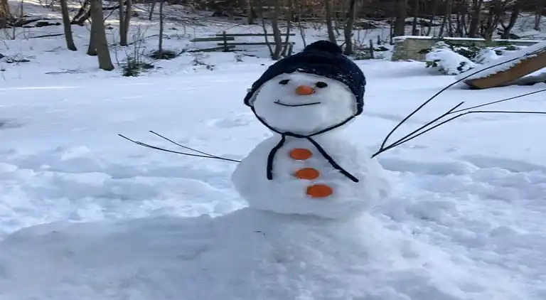 Sommerhus i Rechenberg-Bienenmühle