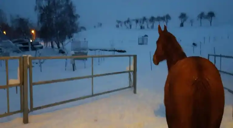 Sommerhus i Rechenberg-Bienenmühle