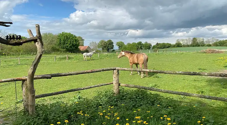 Apartment in Kücknitz