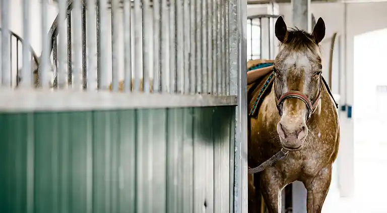 Apartment in Kücknitz