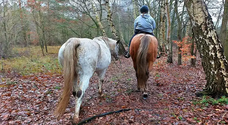 Apartment in Kücknitz