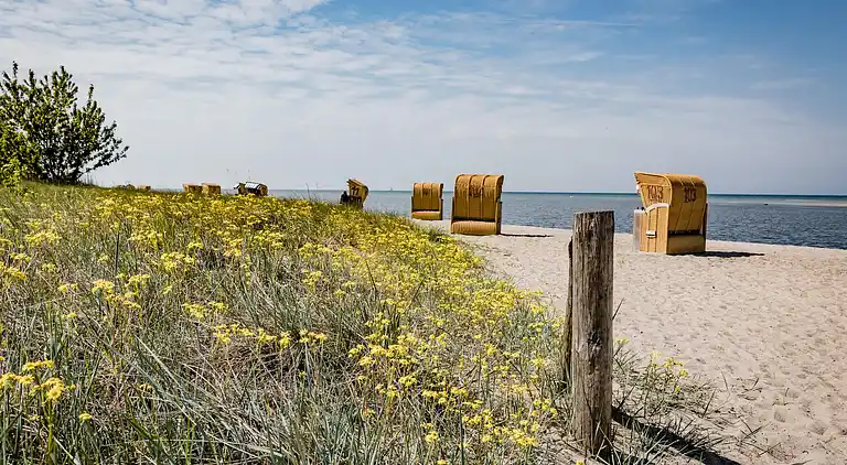 Apartment in Kücknitz