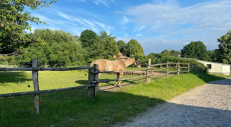 Apartment in Kücknitz