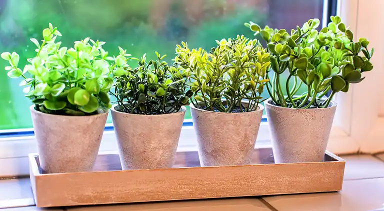 Bungalow in Burnham-on-Sea