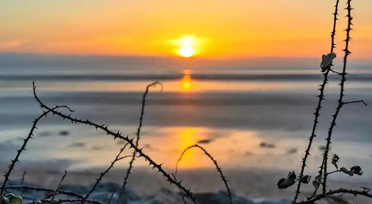 Bungalow in Burnham-on-Sea
