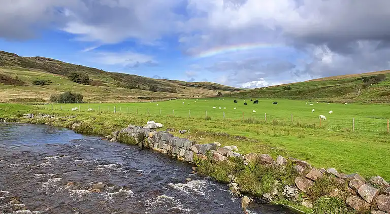 Holiday home in Trawsfynydd