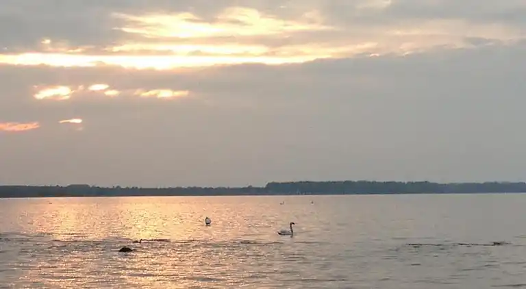 Sommerhus i Hohenkirchen