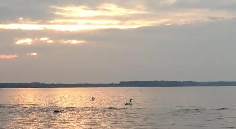 Ferielejlighed i Hohenkirchen